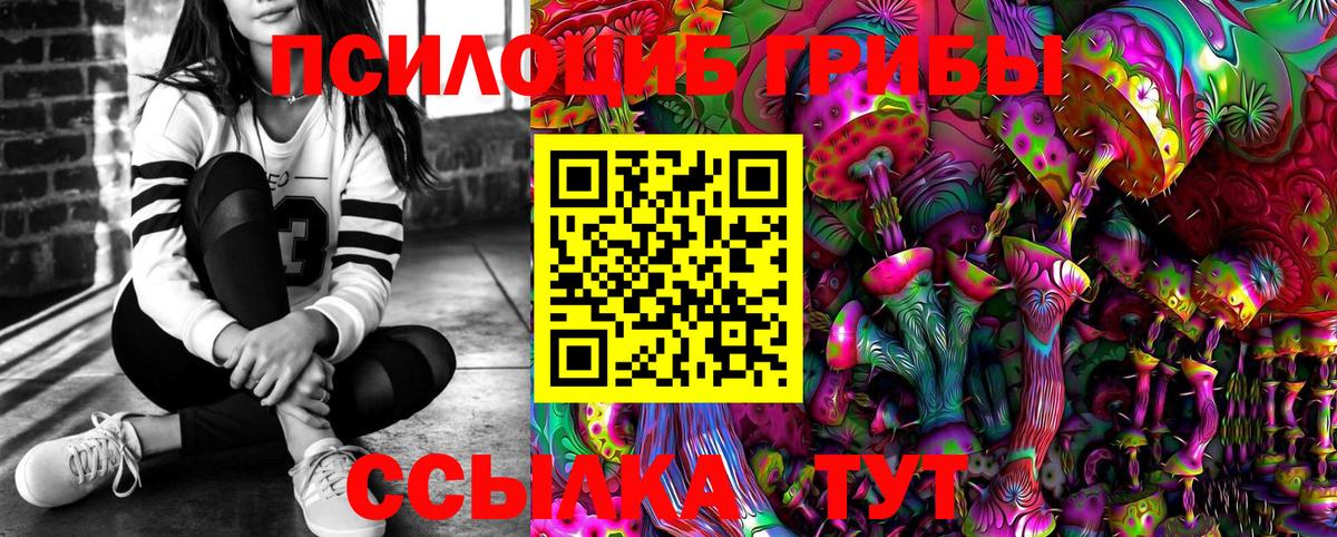 Псилоцибиновые грибы MAGIC MUSHROOMS  Вход с VPN  Котовск 